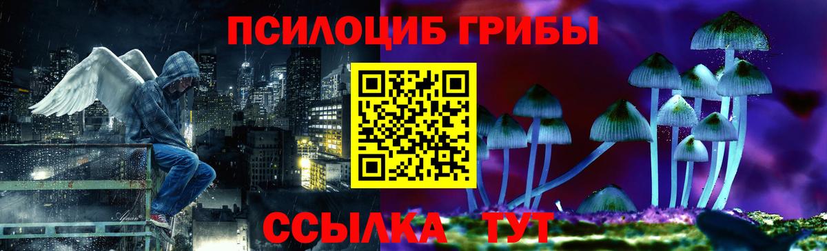 Галлюциногенные грибы MAGIC MUSHROOMS  Вход с VPN  Тара 